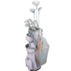 Top Flite XL 12 Piece Complete Set - Graphite Womens -Golf Shop Top Flite XL 12 Piece Complete Set Graphite Womens Package Set